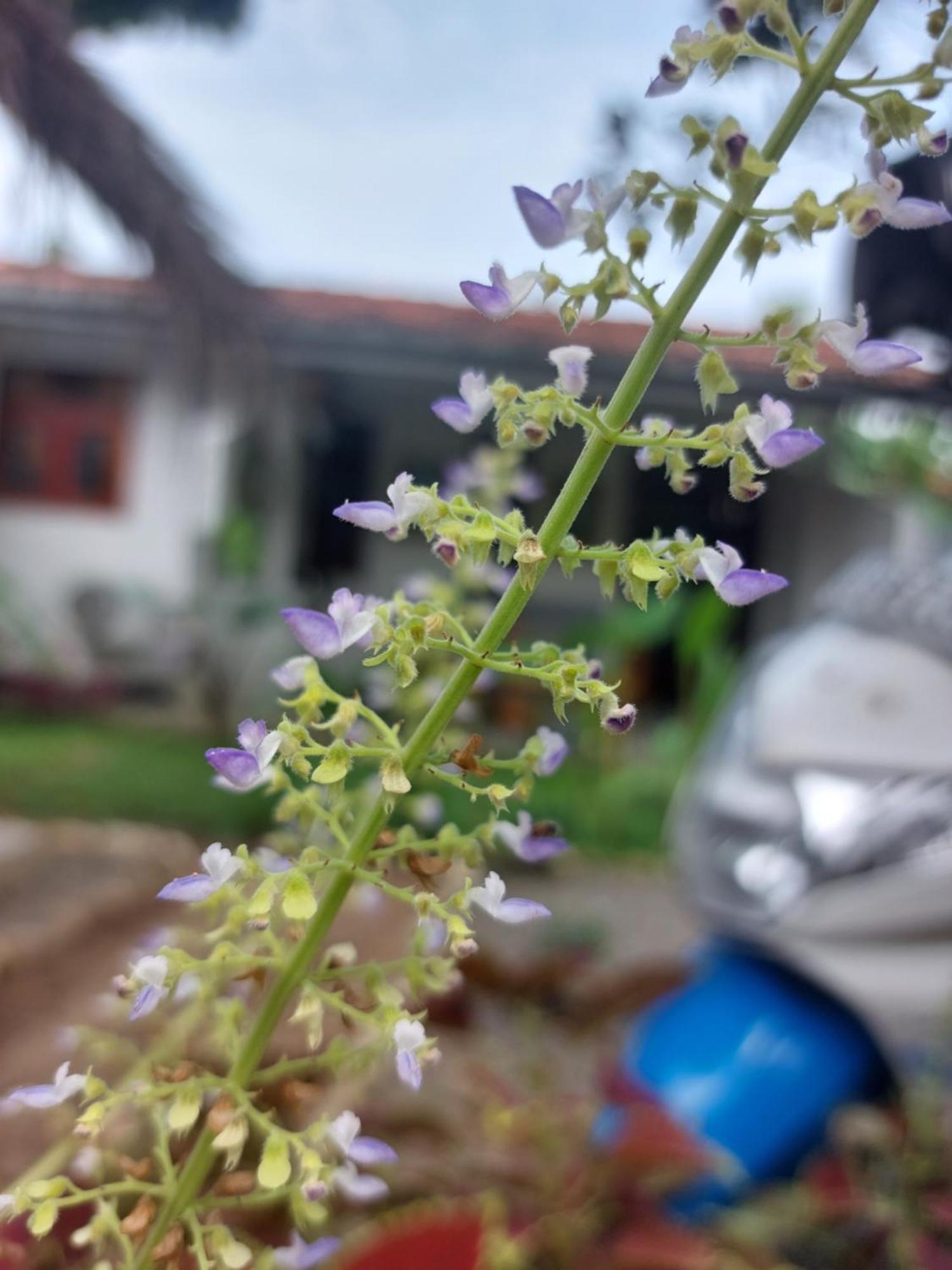 Cosynsurf Bed and Breakfast Matara Buitenkant foto